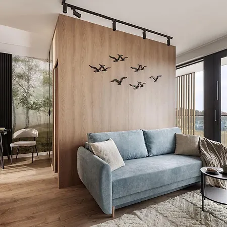 Art Baltic Z Basenem - By Royal Aparts * ミエルノ