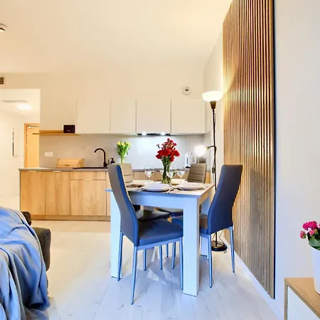 Art Baltic Z Basenem - By Royal Aparts * ミエルノ