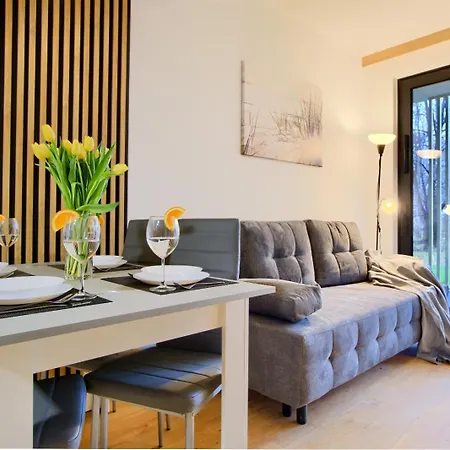 Art Baltic Z Basenem - By Royal Aparts アパート ミエルノ