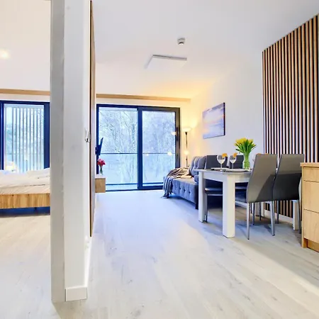 Art Baltic Z Basenem - By Royal Aparts ミエルノ