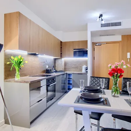 Art Baltic Z Basenem - By Royal Aparts ミエルノ