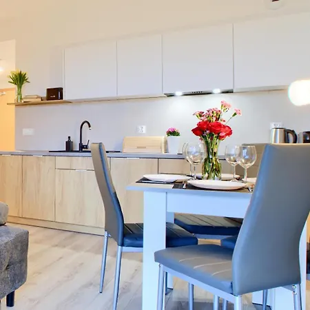 Art Baltic Z Basenem - By Royal Aparts ミエルノ