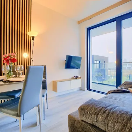 Art Baltic Z Basenem - By Royal Aparts ミエルノ