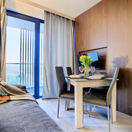 Art Baltic Z Basenem - By Royal Aparts ミエルノ