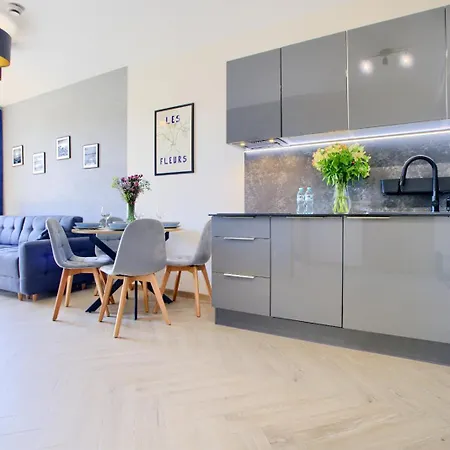 Art Baltic Z Basenem - By Royal Aparts Apartament *