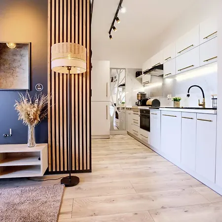 Art Baltic Z Basenem - By Royal Aparts Apartment